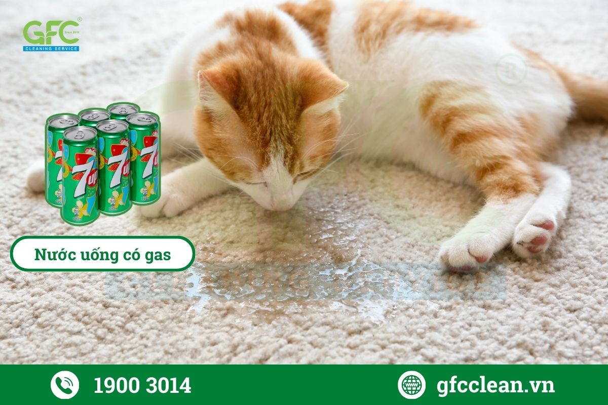 Nước uống có gas có thể khử mùi nước tiểu mèo trên thảm